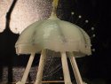 Photo of Robojelly