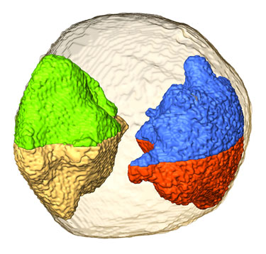 Nanogold in 3D vision