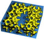 PAni hydrogel