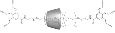A polyrotaxane