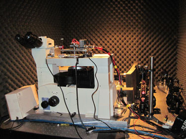 The experimental set-up
