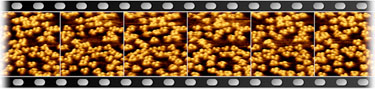 Moving membrane proteins