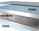 An illustration of nanohairs sensor