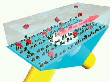 Schematic diagram of the plasmonic metamaterial being used to detect molecules