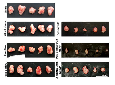 Inhibiting tumour growth