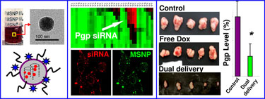 Co-delivery of an optimal drug/siRNA combination