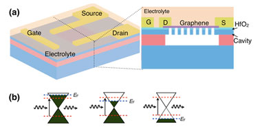 Graphene nanocavity Graphene nanocavity