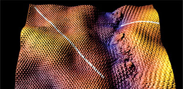 A grain boundary border