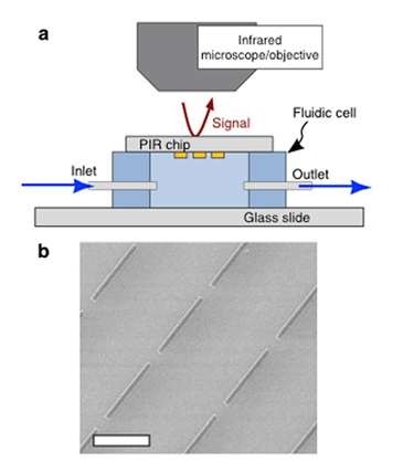 The experimental setup