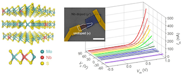 vdWs coupled MoS2:Nb layers
