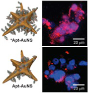 Faster entry into cancer cells