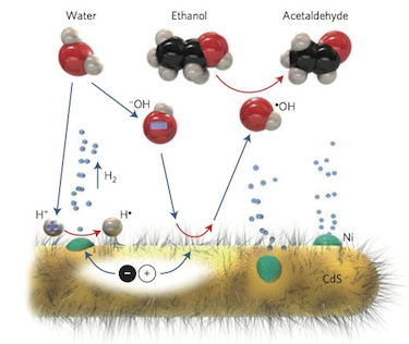 Shuttle mechanism generates hydrogen