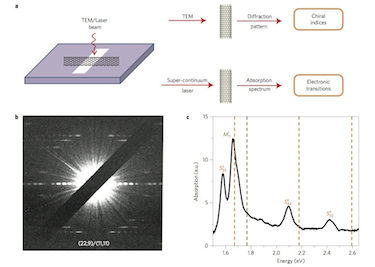 Optical transitions of an individual DWNT