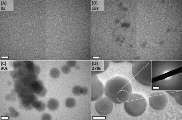 Amorphous calcium carbonate particle formation