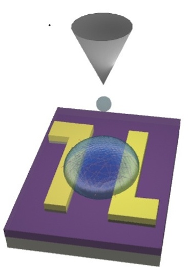 Printed carbon nanotube transistor