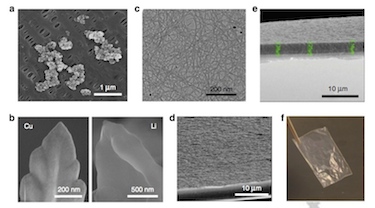 Metal dendrites and (PEO/ANF) composite