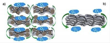 Carbon-based catalyst