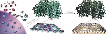 Making N and P co-doped porous carbon electrocatalysts