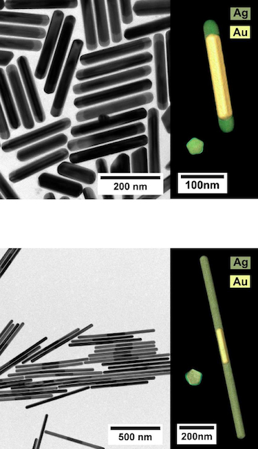 The bimetallic nanowires