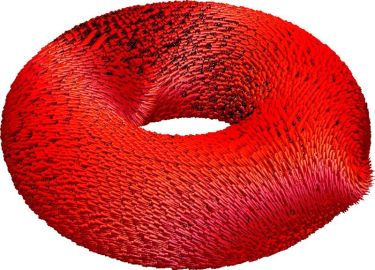 Magnetization of a toroidal nanomagnet