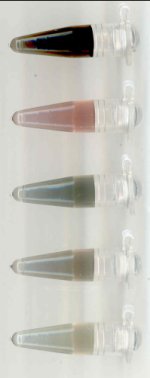 Nanotube fractions