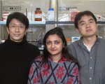 Nanocrystal researchers