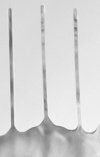 Nanowire branches