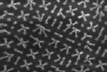 Polymer hairs
