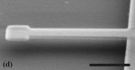 Nanodevices target viruses: SEM of released cantilever oscillator
