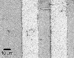 Nanowire alignment