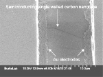 Nanotube transistors speed up: SEM image of semiconducting single-walled nanotube