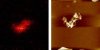 Images of DNA