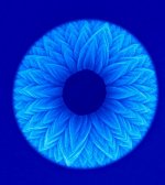 Silicon carbide nanoflower