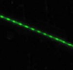 Nanowire heterostructure