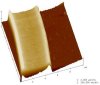 Laser sintering strikes gold with nanoparticle ink: AFM image of cured gold stripe