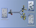 Branched nanostructures