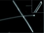 Nanoribbons light the way: a nanowire waveguide