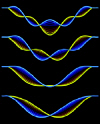Nanotubes feel the force: simulations showing the first four resonant modes of a carbon nanotube.