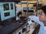 Nanoneedle gets into cells: Dr Obataya handles a nanoneedle
