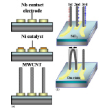 A schematic illustration of the carbon nanotube-based electromechanical switch device.