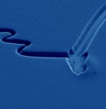 A micro-groove in a film of vertically aligned single-walled carbon nanotubes