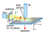 Schematic of the experimental set-up.
