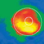 Image obtained of the sample (very thin chromium film).