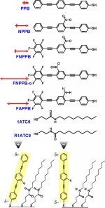 Structures of the OPE molecules used in this study: PPB, NPPB, FNPPB, FNPPB-o, and FAPPB.