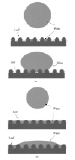 Turning the lotus effect on its head: illustrations of water drops on lotus leaf