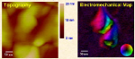 Electromechanical microscope nudges the nanoscale: bioelectromechanical images