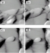 Atomic force microscopes reach new depths: figure 2