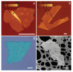 Single-layer crystallites