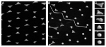 Scanning electron microscope picture of triangular gold nanostructures on a graphite substrate.