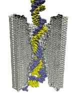 Stretched by an applied electric field, a DNA helix squeezes through a 2-nm-diameter pore in a silicon nitride membrane.